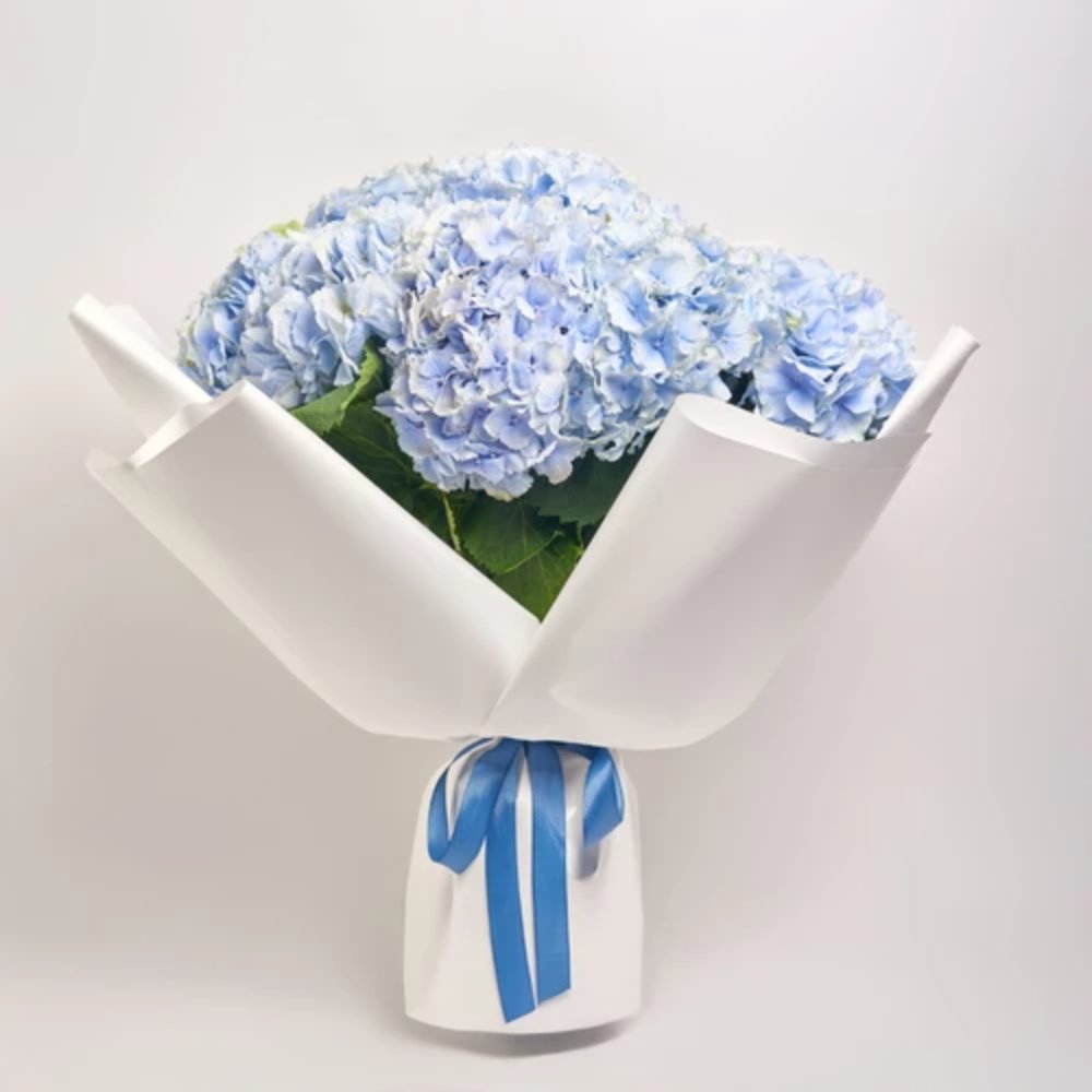 11 Blue Hydrangeas Bouquet.